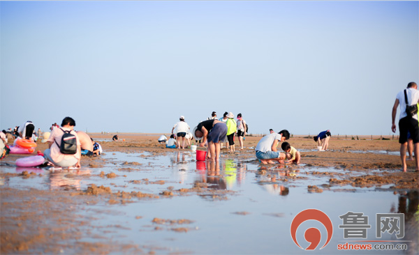整整63种玩法!2019“避暑日照”暑期旅游产品大放送